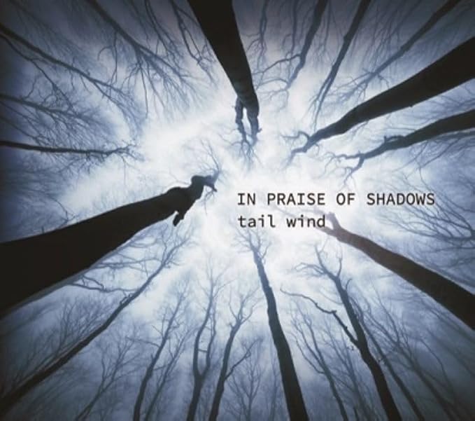 IN PRAISE OF SHADOWS